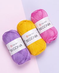 Begonia