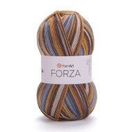 YarnArt Forza 2504