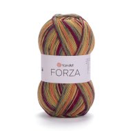 YarnArt Forza 2509