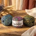 Ladder