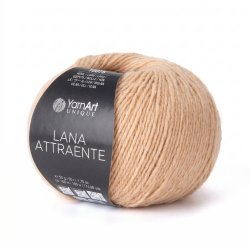 YarnArt Lana Attraente 6604